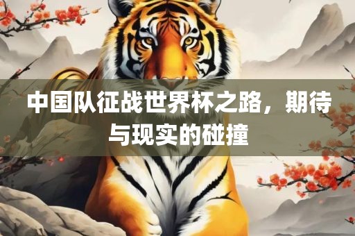 中国队征战世界杯之路，期待与现实的碰撞