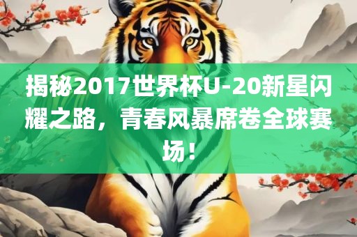 揭秘2017世界杯U-20新星闪耀之路，青春风暴席卷全球赛场！