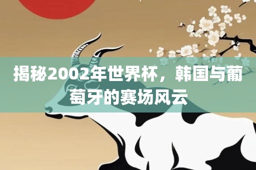 揭秘2002年世界杯，韩国与葡萄牙的赛场风云