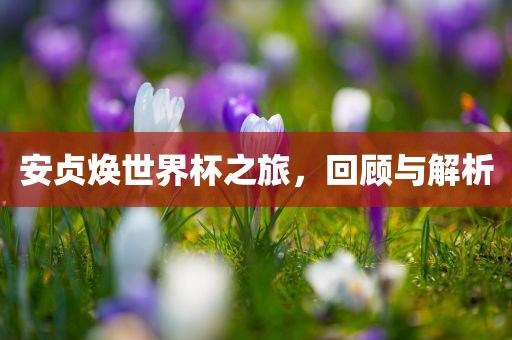 安贞焕世界杯之旅，回顾与解析
