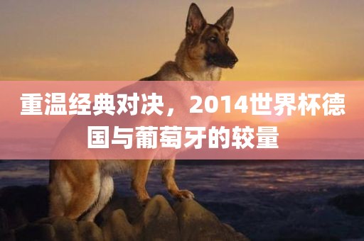 重温经典对决，2014世界杯德国与葡萄牙的较量