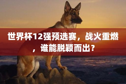 世界杯12强预选赛，战火重燃，谁能脱颖而出？