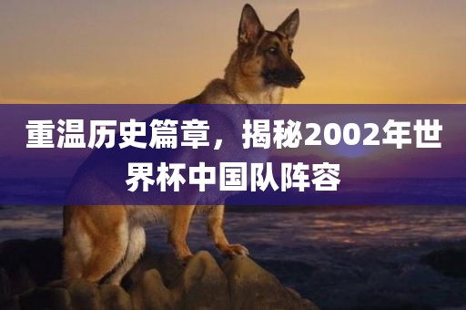 重温历史篇章，揭秘2002年世界杯中国队阵容