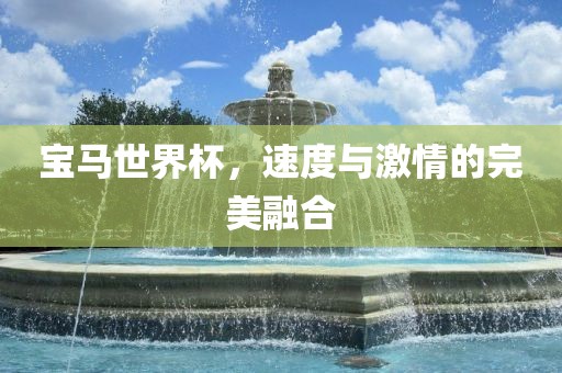 宝马世界杯，速度与激情的完美融合