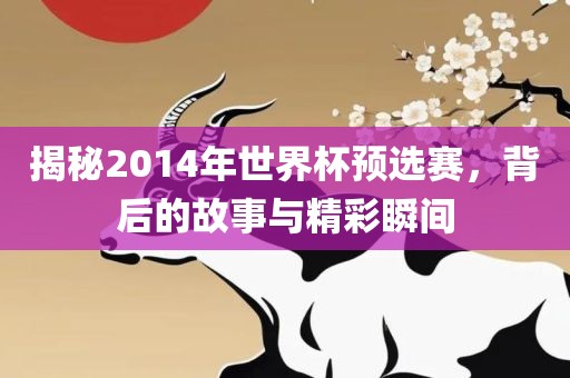 揭秘2014年世界杯预选赛，背后的故事与精彩瞬间