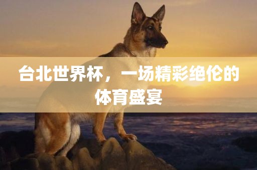 台北世界杯，一场精彩绝伦的体育盛宴
