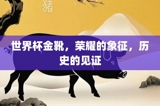 世界杯金靴，荣耀的象征，历史的见证