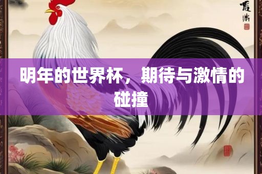 明年的世界杯，期待与激情的碰撞