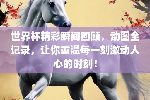 世界杯精彩瞬间回顾，动图全记录，让你重温每一刻激动人心的时刻！