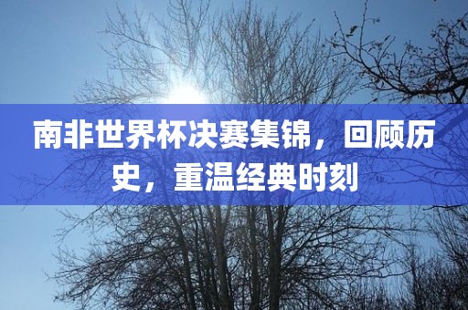南非世界杯决赛集锦，回顾历史，重温经典时刻