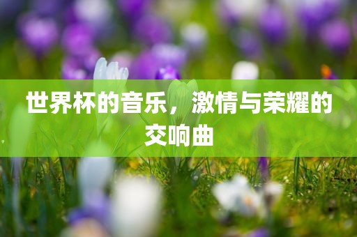 世界杯的音乐，激情与荣耀的交响曲