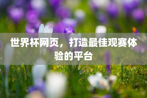 世界杯网页，打造最佳观赛体验的平台