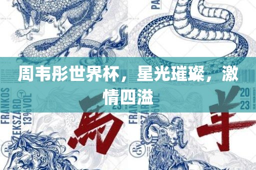 周韦彤世界杯，星光璀璨，激情四溢