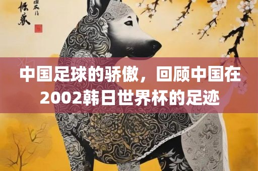中国足球的骄傲，回顾中国在2002韩日世界杯的足迹