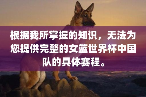 根据我所掌握的知识，无法为您提供完整的女篮世界杯中国队的具体赛程。