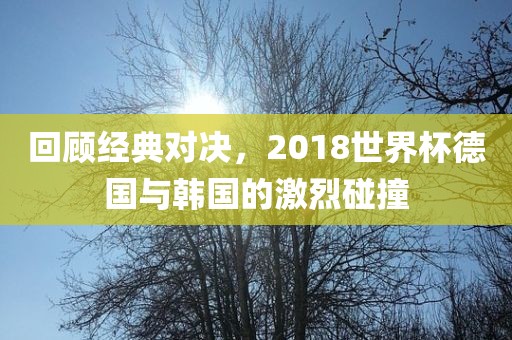 回顾经典对决，2018世界杯德国与韩国的激烈碰撞