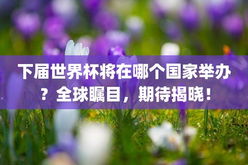 下届世界杯将在哪个国家举办？全球瞩目，期待揭晓！