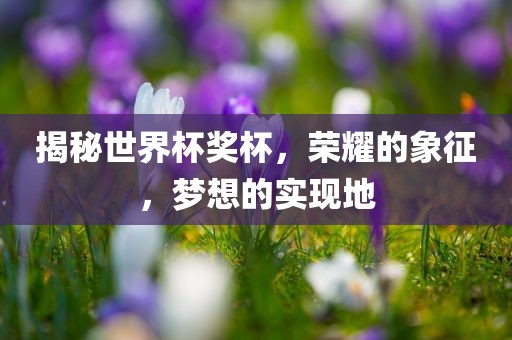 揭秘世界杯奖杯，荣耀的象征，梦想的实现地