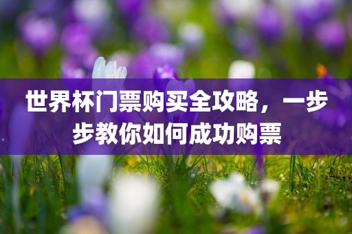 世界杯门票购买全攻略，一步步教你如何成功购票