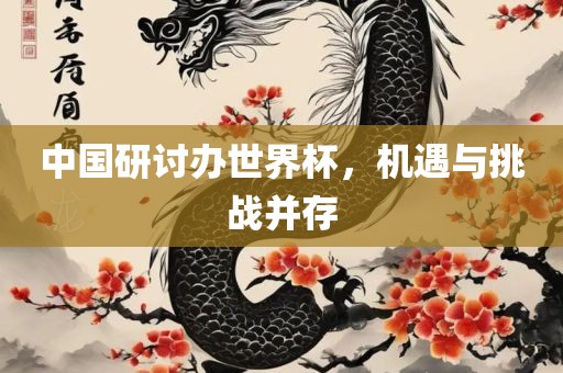 中国研讨办世界杯，机遇与挑战并存