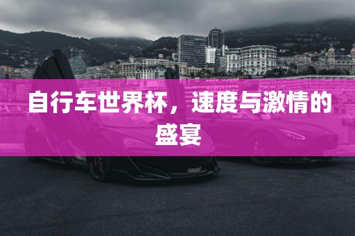 自行车世界杯，速度与激情的盛宴