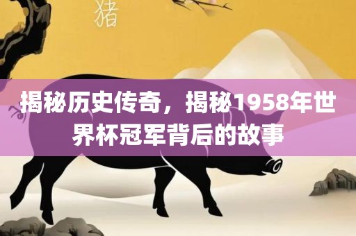 揭秘历史传奇，揭秘1958年世界杯冠军背后的故事