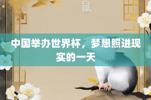 中国举办世界杯，梦想照进现实的一天