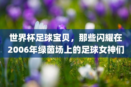 世界杯足球宝贝，那些闪耀在2006年绿茵场上的足球女神们