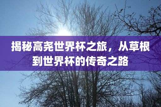 揭秘高尧世界杯之旅，从草根到世界杯的传奇之路