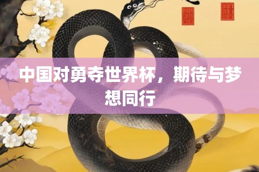 中国对勇夺世界杯，期待与梦想同行
