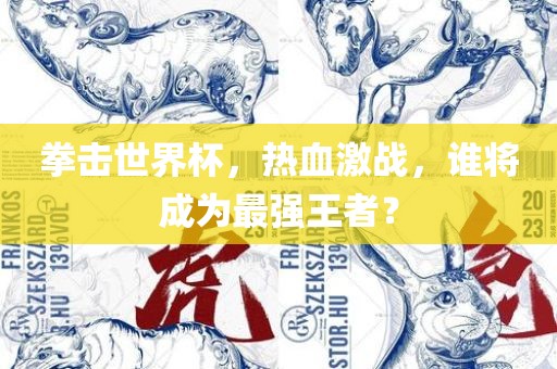 拳击世界杯，热血激战，谁将成为最强王者？