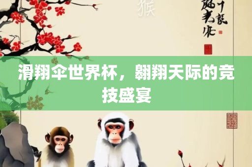滑翔伞世界杯，翱翔天际的竞技盛宴