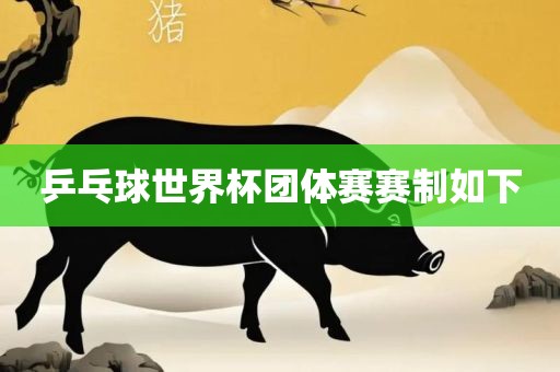 乒乓球世界杯团体赛赛制如下