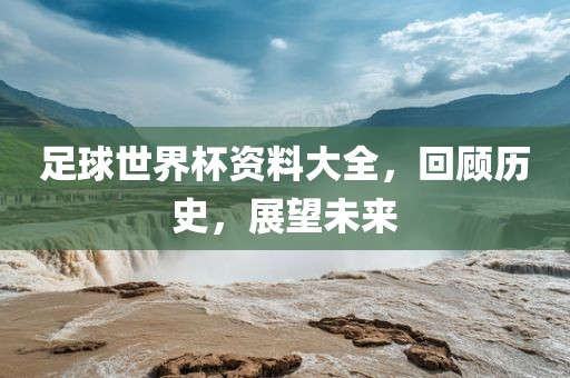 足球世界杯资料大全，回顾历史，展望未来