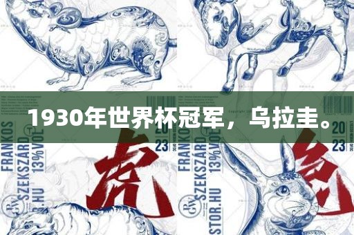 1930年世界杯冠军，乌拉圭。