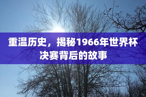 重温历史，揭秘1966年世界杯决赛背后的故事