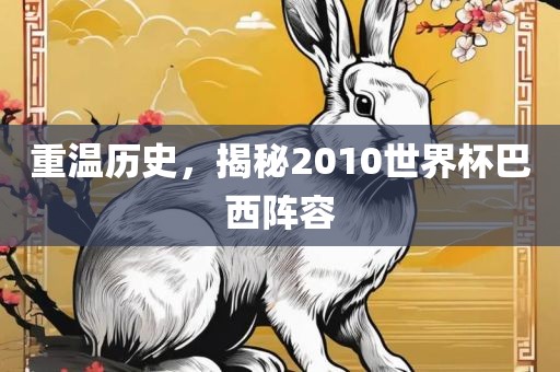 重温历史，揭秘2010世界杯巴西阵容