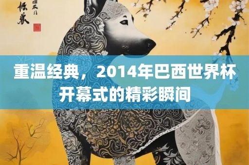 重温经典，2014年巴西世界杯开幕式的精彩瞬间