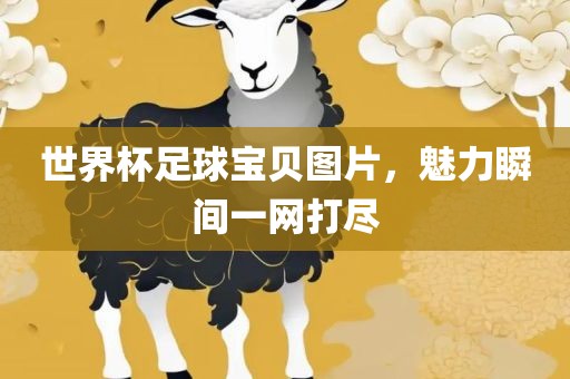 世界杯足球宝贝图片，魅力瞬间一网打尽