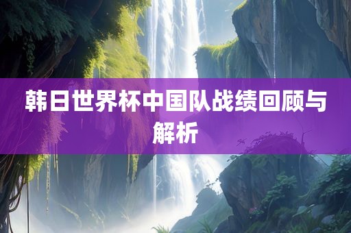 韩日世界杯中国队战绩回顾与解析
