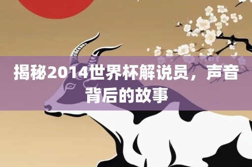揭秘2014世界杯解说员，声音背后的故事