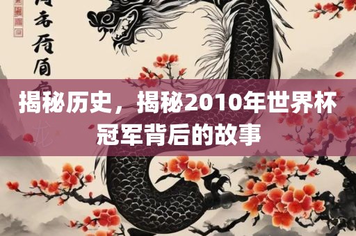 揭秘历史，揭秘2010年世界杯冠军背后的故事