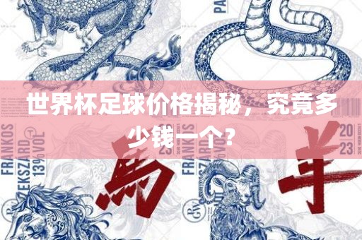 世界杯足球价格揭秘，究竟多少钱一个？
