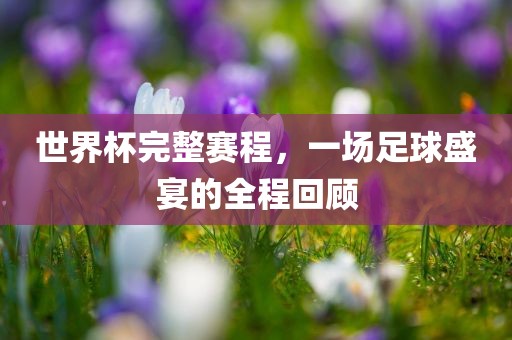 世界杯完整赛程，一场足球盛宴的全程回顾