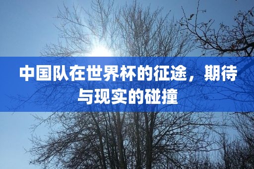 中国队在世界杯的征途，期待与现实的碰撞