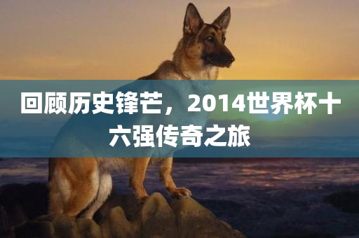 回顾历史锋芒，2014世界杯十六强传奇之旅