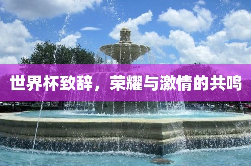 世界杯致辞，荣耀与激情的共鸣