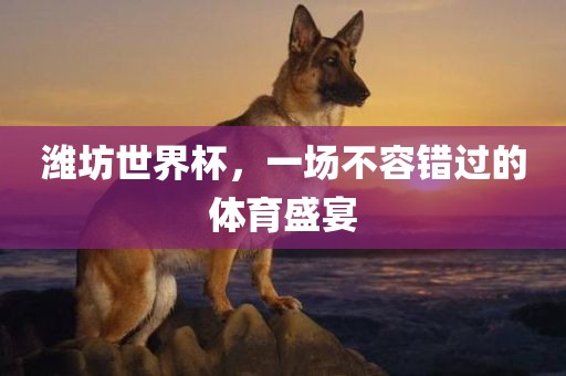潍坊世界杯，一场不容错过的体育盛宴