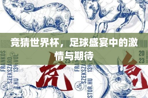 竞猜世界杯，足球盛宴中的激情与期待