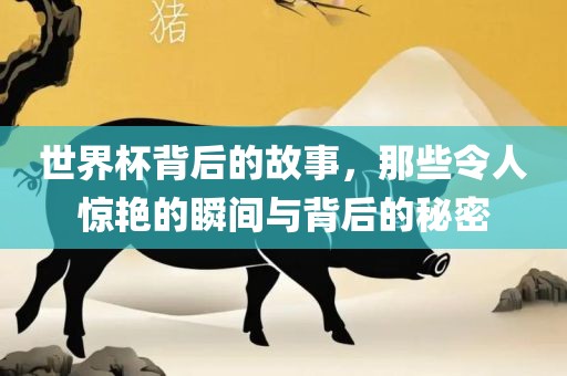 世界杯背后的故事，那些令人惊艳的瞬间与背后的秘密